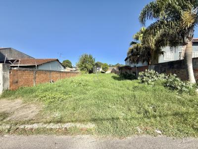 Terreno para Venda, em Pinhais, bairro Maria Antonieta